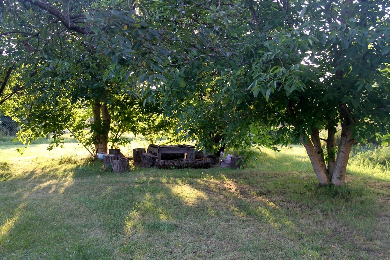 Отели типа «постель и завтрак» Agroturystyka Nienasycenie Brzeźno Łyńskie-27